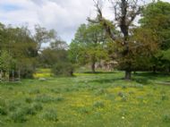 The meadow, Cambo